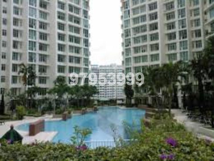 Compass Heights (D19), Apartment #108676942